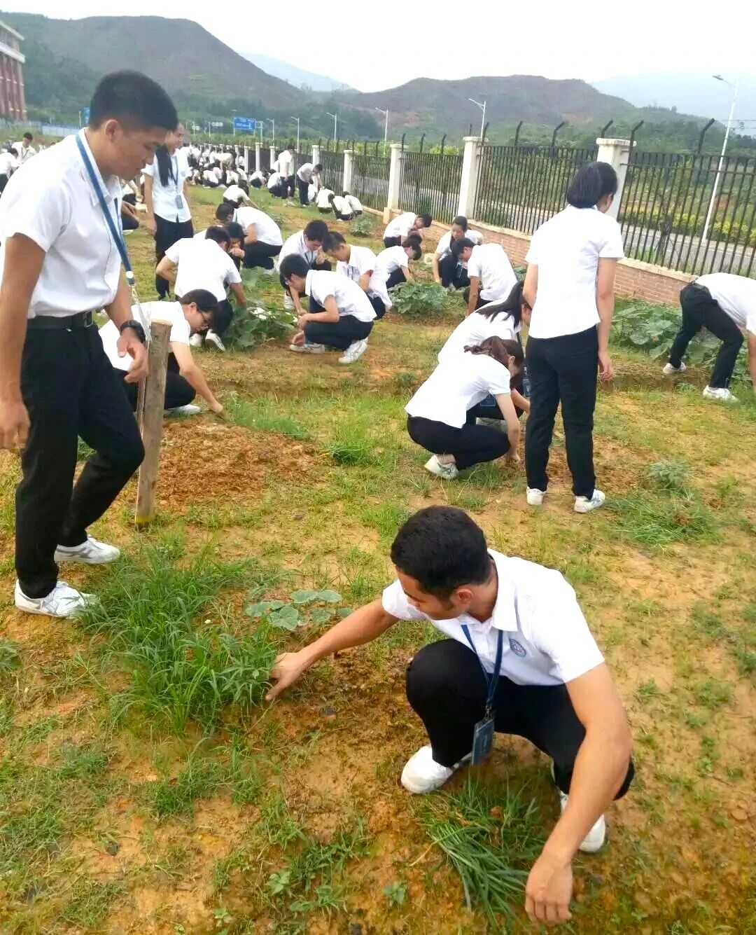 1d098f381e6d640e425f63551bf45a5f